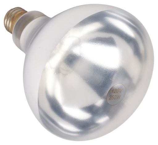 Shatter-Resistant Bulb, White, 250W (12 Each)-cityfoodequipment.com