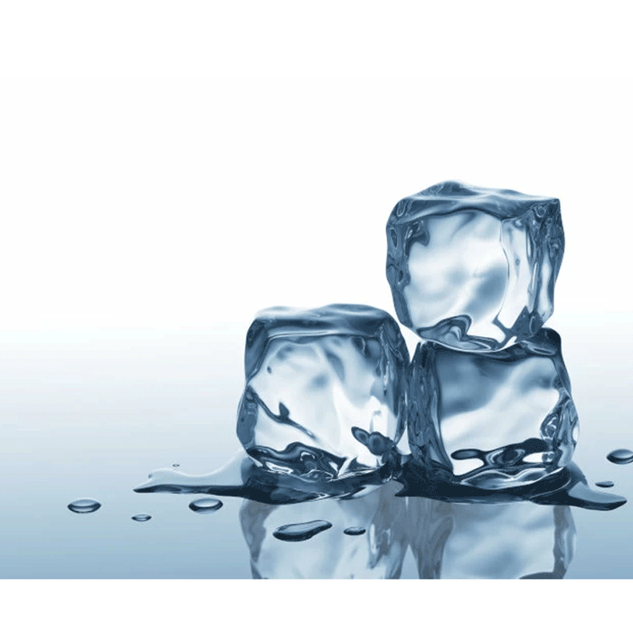 What Size Ice Maker is Right For My Business?