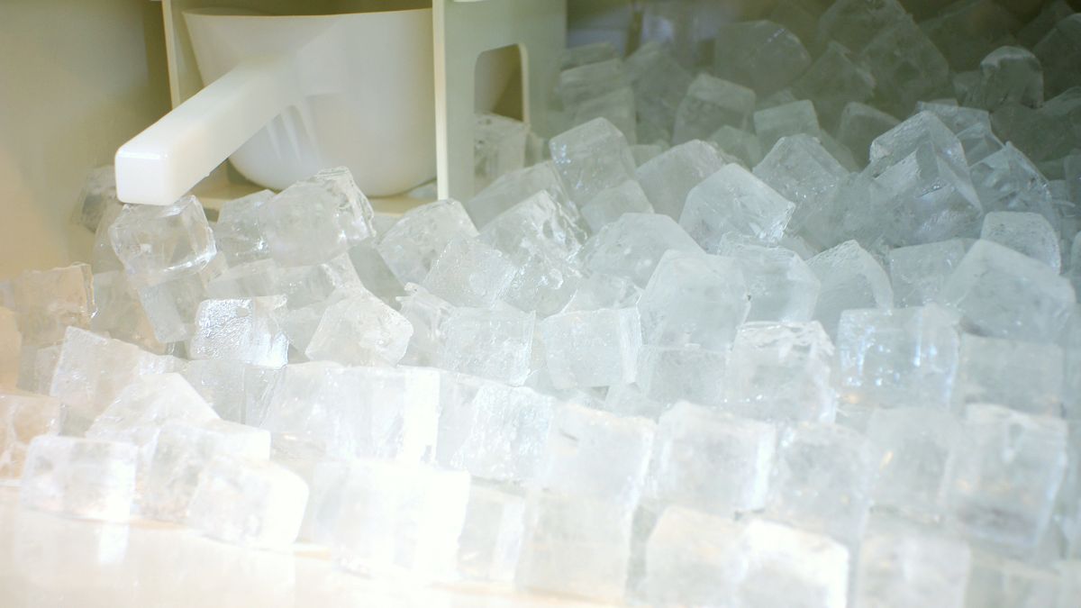 How to Clean a Portable Ice Maker in 7 Easy Steps — City Food Equipment