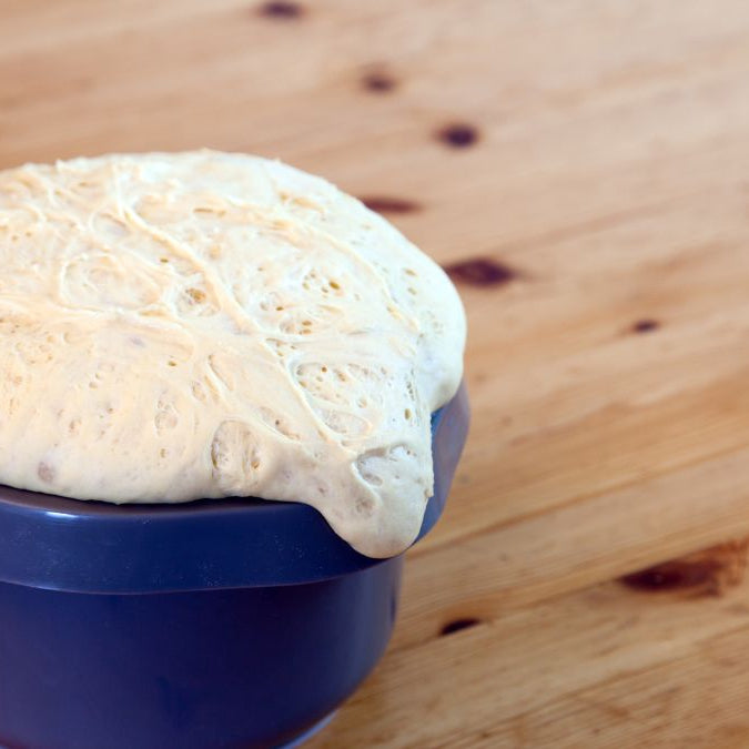 How to Make Dough Rise Faster