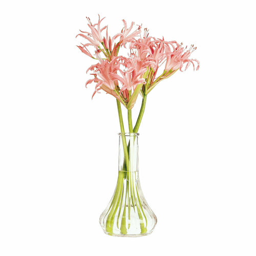 Cambro BV6CW135 6" Bud Vase - Clear-cityfoodequipment.com