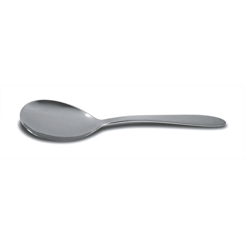 Dexter Russell V19021 9" Fruit & Vegetable Server, Stainless Steel-cityfoodequipment.com
