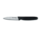 Dexter Russell P40518DP 3 1/4" Paring Knife Display W/ 36 Paring Knives (P40843)-cityfoodequipment.com