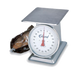 Edlund HD-100 Dial Type Receiving Scale w/ Sloped Face, Top Loading, Stainless-cityfoodequipment.com