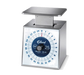 Edlund SR-25 Dial Type Portion Scale w/ Vertical Face, Rotating, Top Load, Stainless-cityfoodequipment.com