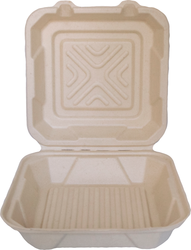 ITI Square Sugar Cane 1-Compartment Hinged Container - 9"x9"x3" (TG-B-99)-cityfoodequipment.com