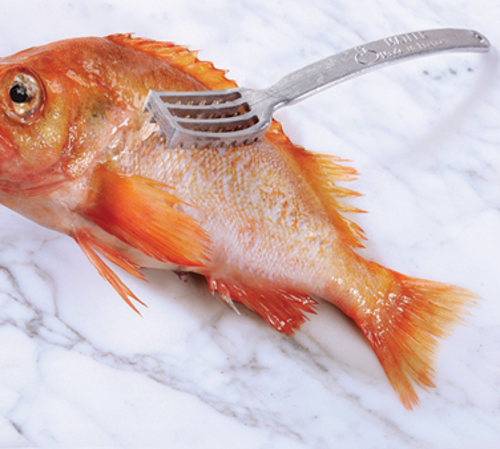 Matfer Bourgeat 121100 8 1/2" Fish Scaler, Aluminum-cityfoodequipment.com