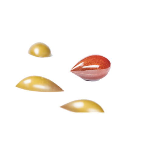 Martellato 380167 10 7/8" Double Sided Quenelle Chocolate Mold - Polycarbonate, Transparent-cityfoodequipment.com