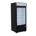 Ojeda 25 1/5" One Section Display Freezer W/ Swing Door - Bottom Mount Compressor, Black, 120v (FMH-12)-cityfoodequipment.com