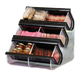 Rosseto Condiment Organizer W/ (6) Bins - Black (EZO739)-cityfoodequipment.com