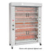 Rotisol USA FBS1400-6E-SS Electric 6 Spit Spatchcock Commercial Rotisserie w/ 30 Bird Capacity, 208-240v/3ph-cityfoodequipment.com