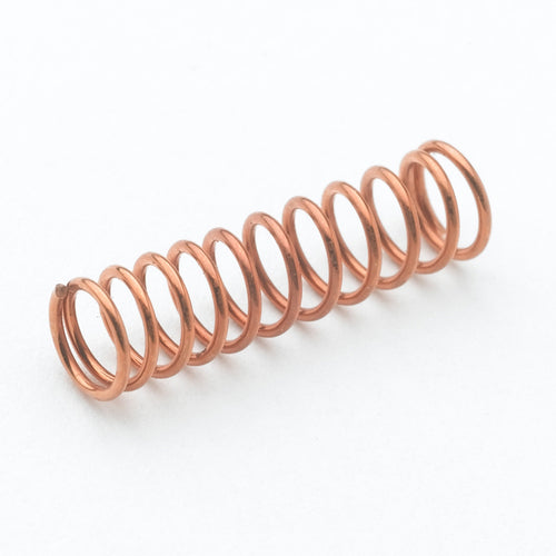 T&S 001479-45 Spring for Eterna Cartridge With Spring Checks-cityfoodequipment.com