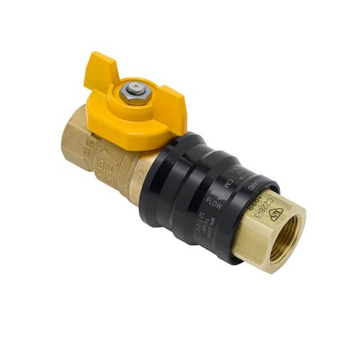 T&S AG-9C Combination Gas Valve w/ Quick Disconnect, 1/2" Female Connections-cityfoodequipment.com