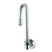 T&S B-0529-01 Swivel Gooseneck Spout, Wall Mounted, 2 3/4" Spread, Plain Tip-cityfoodequipment.com