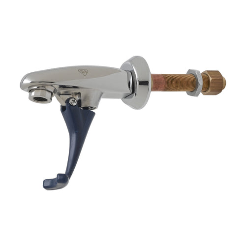 T&S B-1202 Push Back Glass Filler Faucet, Wall Mounted, Adjustable Flange-cityfoodequipment.com