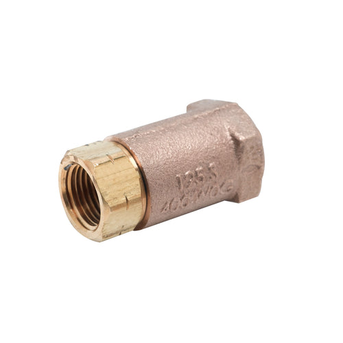 T&S B-CVH1-2 Horizontal Check Valve w/ 1/2" NPT Female Connection-cityfoodequipment.com