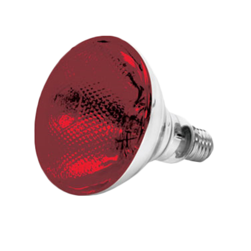 Thunder Group SEJ90001R 250 Watt Heat Lamp Bulb for SEJ90000, Red - #N/A, (each)-cityfoodequipment.com