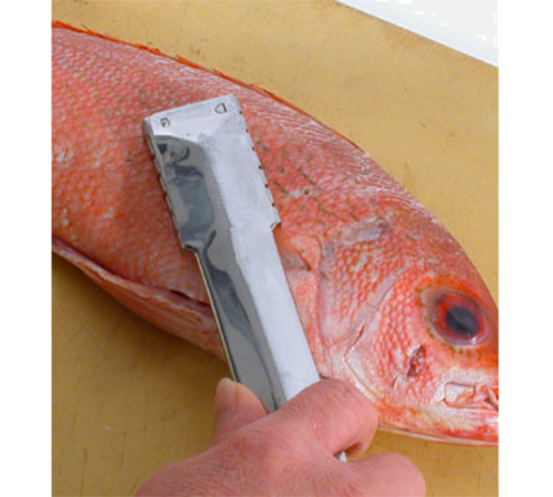 Town 9" Fish Scaler, Stainless (48607)-cityfoodequipment.com