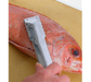 Town 9" Fish Scaler, Stainless (48607)-cityfoodequipment.com