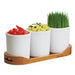 Cal-Mil 3647-32-99 (3) Compartment Bar Garnish Tray-cityfoodequipment.com