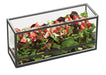 Cal-Mil 22078-13 Rectangular Display Riser Box - 15"W x 5"D x 7"H, Plastic/Steel, Black-cityfoodequipment.com