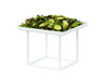 Cal-Mil 23201-12-15 12" Square Display Riser - 12"H, Metal, White-cityfoodequipment.com