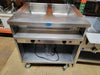Randell 3612 2 Pans Stainless Steel 120V Electric Steam Table-cityfoodequipment.com
