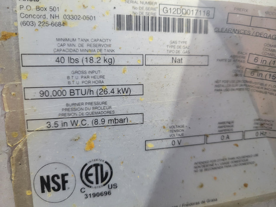 Used Anets SGL40 Commercial 40lbs. Deep Fryer, NAT Gas-cityfoodequipment.com