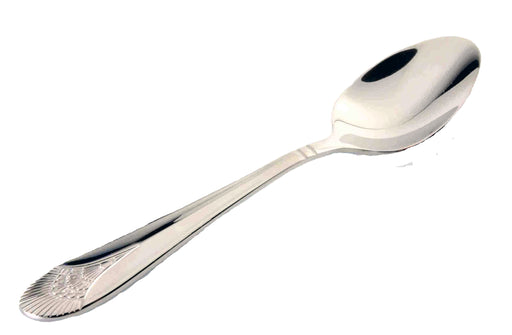 ELIZABETH TEA SPOON, 18/10 LOT OF 1 (Dz)-cityfoodequipment.com