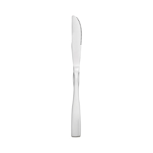 Thunder Group SLAM109 8 7/10" Dinner Knife with 18/0 Stainless Grade, Salem Pattern - 1, (dozen)-cityfoodequipment.com