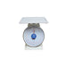 GT-200 200LB SCALES LOT OF 1 (Ea)-cityfoodequipment.com