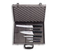 F. Dick (8116700) 6 Piece Pro Dynamic Chef Set in Magnetic Case-cityfoodequipment.com