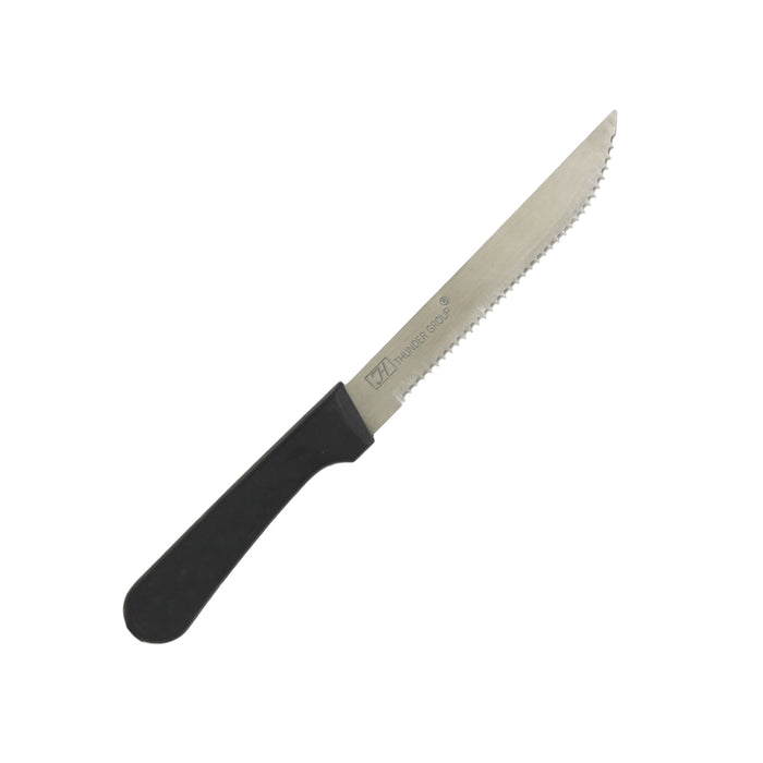 4 3/4" POINTED TIP STEAK KNIFE/PLASTIC HANDLE LOT OF 2 (Dz)-cityfoodequipment.com