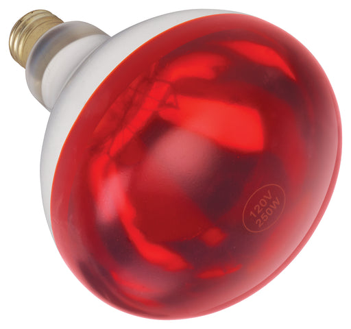 Shatter-Resistant Bulb, Red, 250W (12 Each)-cityfoodequipment.com